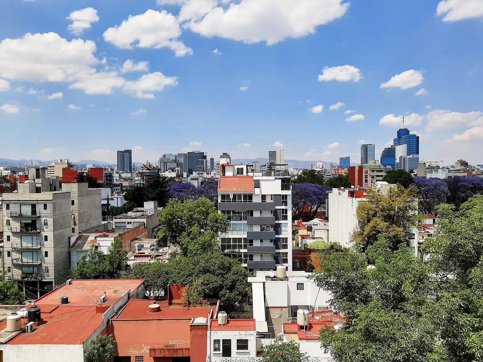 Una vista de la Colonia Del Valle, CDMX, 2022