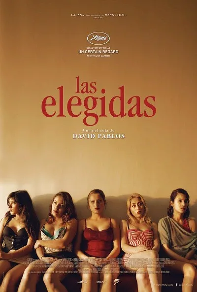 Cartel 36